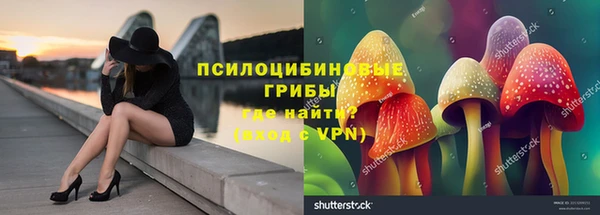 ешки Иннополис