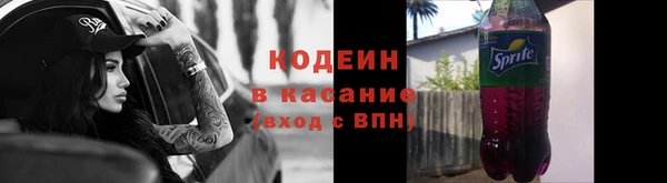 apvp Каменка