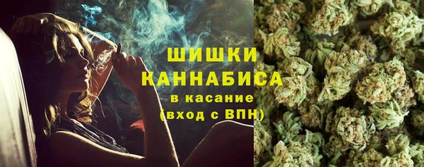 ешки Иннополис