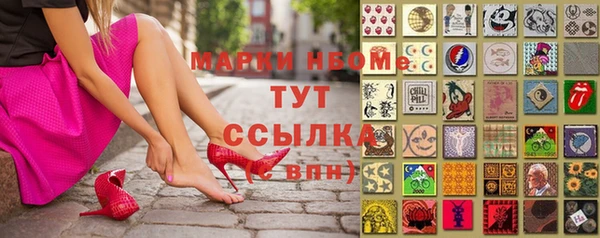 apvp Каменка