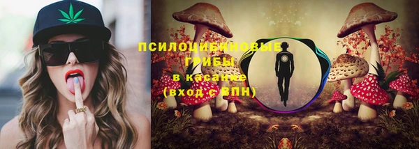 apvp Каменка