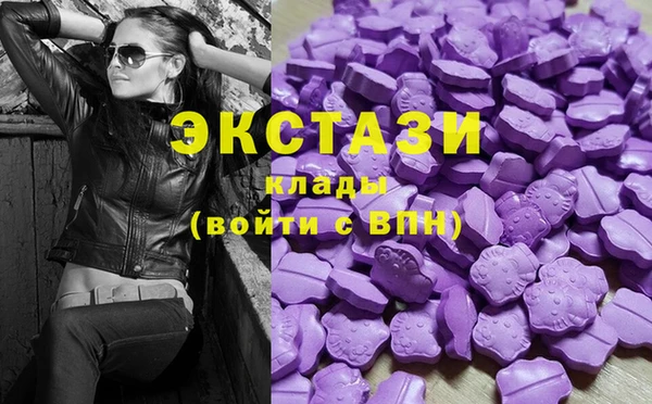 apvp Каменка