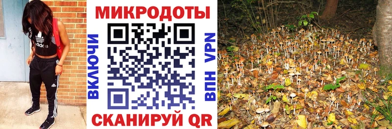 kraken маркетплейс  Копейск  Галлюциногенные грибы GOLDEN TEACHER 